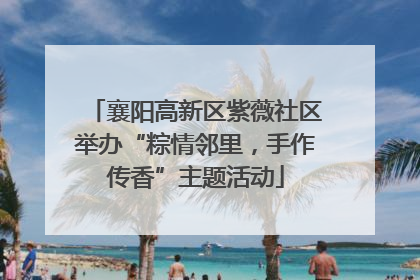襄阳高新区紫薇社区举办“粽情邻里，手作传香”主题活动