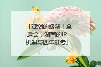 观潮的螃蟹丨全运会，湖南的IP机遇与四年赶考
