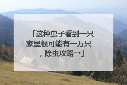 这种虫子看到一只家里很可能有一万只，除虫攻略→