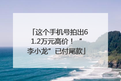 这个手机号拍出61.2万元高价！“李小龙”已付尾款