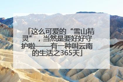 这么可爱的“雪山精灵”，当然是要好好守护啦——有一种叫云南的生活之365天