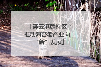 连云港赣榆区：推动海苔老产业向“新”发展