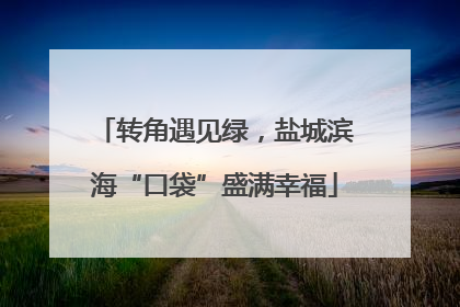 转角遇见绿，盐城滨海“口袋”盛满幸福