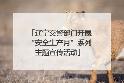 辽宁交警部门开展“安全生产月”系列主题宣传活动