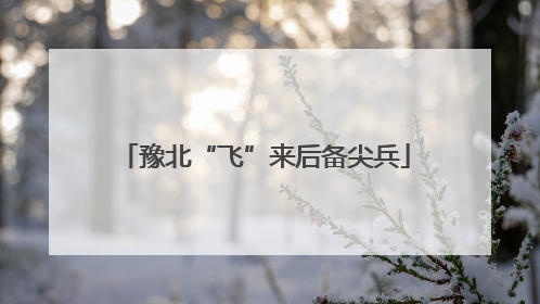 豫北“飞”来后备尖兵