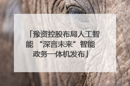 豫资控股布局人工智能 “深言未来”智能政务一体机发布