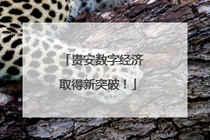 贵安数字经济取得新突破！