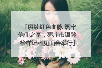 赓续红色血脉 筑牢信仰之基，枣庄市银龄榜样记者见面会举行
