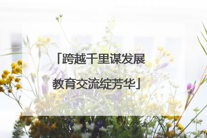 跨越千里谋发展 教育交流绽芳华