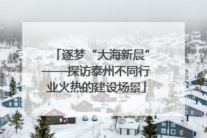 逐梦“大海新晨”——探访泰州不同行业火热的建设场景