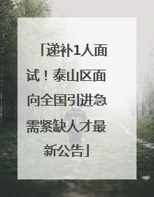 递补1人面试！泰山区面向全国引进急需紧缺人才最新公告