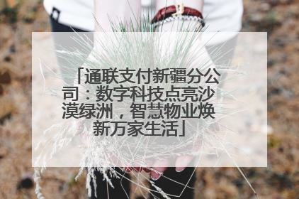 通联支付新疆分公司：数字科技点亮沙漠绿洲，智慧物业焕新万家生活