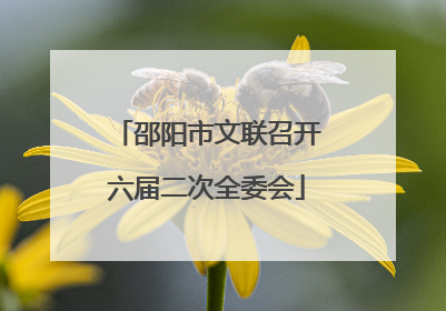 邵阳市文联召开六届二次全委会