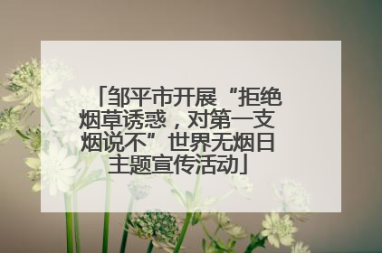 邹平市开展“拒绝烟草诱惑，对第一支烟说不”世界无烟日主题宣传活动