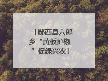 郧西县六郎乡“黄板护椒”促绿兴农