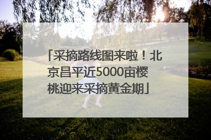 采摘路线图来啦！北京昌平近5000亩樱桃迎来采摘黄金期