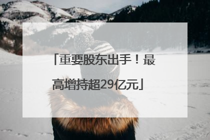 重要股东出手！最高增持超29亿元