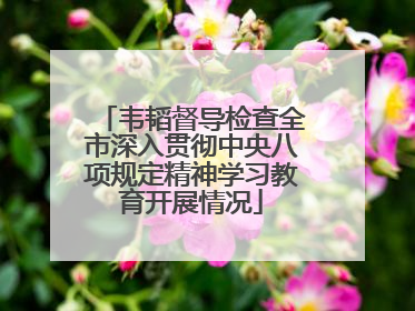 韦韬督导检查全市深入贯彻中央八项规定精神学习教育开展情况
