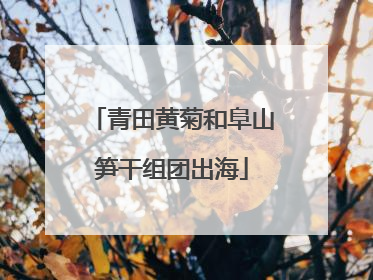 青田黄菊和阜山笋干组团出海