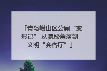 青岛崂山区公厕“变形记” 从隐秘角落到文明“会客厅”
