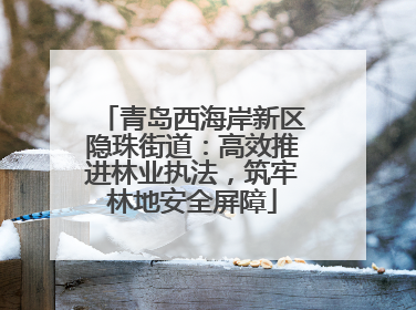 青岛西海岸新区隐珠街道：高效推进林业执法，筑牢林地安全屏障