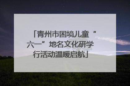 青州市困境儿童“六一”地名文化研学行活动温暖启航