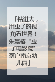 钻进去，用虫子的视角看世界！朱赢椿“虫子电影院”落户南京幼儿园