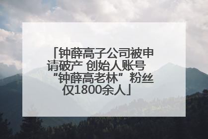 钟薛高子公司被申请破产 创始人账号“钟薛高老林”粉丝仅1800余人
