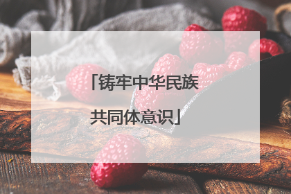 铸牢中华民族共同体意识