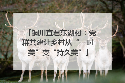铜川宜君东湖村：党群共建让乡村从“一时美”变“持久美”