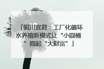 铜川宜君：工厂化循环水养殖新模式让“小圆桶”圈起“大财富”