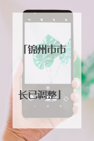 锦州市市长已调整