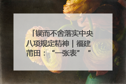 锲而不舍落实中央八项规定精神｜福建莆田：“一张表”“一张图”为基层减轻“数字负担”