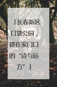 长春新区口袋公园，建在家门口的“诗与远方”
