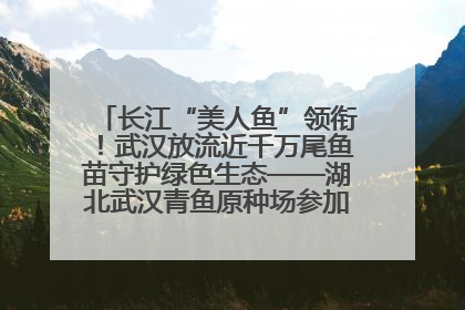 长江“美人鱼”领衔！武汉放流近千万尾鱼苗守护绿色生态——湖北武汉青鱼原种场参加2025年“全国放鱼日”增殖放流活动