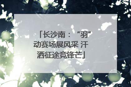 长沙南：“羽”动赛场展风采 汗洒征途竞锋芒