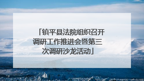 镇平县法院组织召开调研工作推进会暨第三次调研沙龙活动