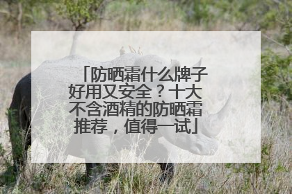防晒霜什么牌子好用又安全？十大不含酒精的防晒霜推荐，值得一试