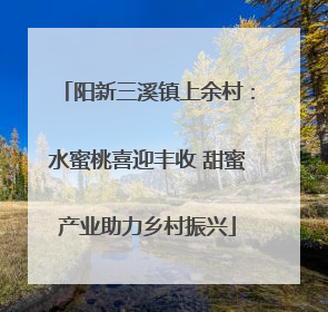 阳新三溪镇上余村：水蜜桃喜迎丰收 甜蜜产业助力乡村振兴