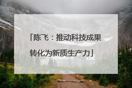 陈飞：推动科技成果转化为新质生产力