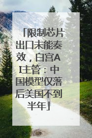 限制芯片出口未能奏效，白宫AI主管：中国模型仅落后美国不到半年