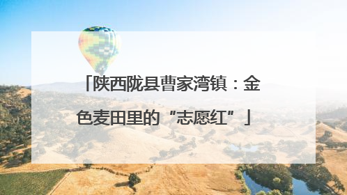 陕西陇县曹家湾镇：金色麦田里的“志愿红”