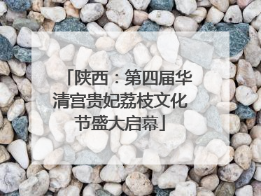 陕西：第四届华清宫贵妃荔枝文化节盛大启幕