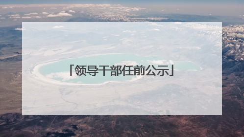 领导干部任前公示