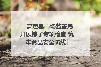 高唐县市场监管局：开展粽子专项检查 筑牢食品安全防线