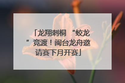 龙翔刺桐 “蛟龙”竞渡！闽台龙舟邀请赛下月开赛