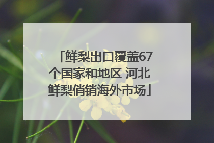 鲜梨出口覆盖67个国家和地区 河北鲜梨俏销海外市场