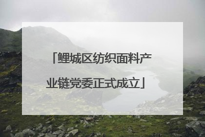 鲤城区纺织面料产业链党委正式成立