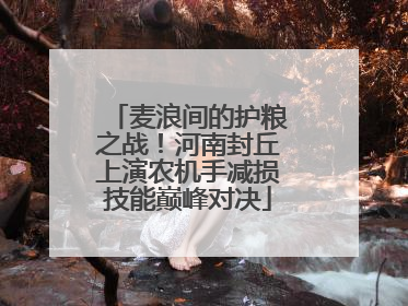 麦浪间的护粮之战！河南封丘上演农机手减损技能巅峰对决