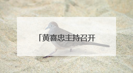 黄喜忠主持召开书记专题会议